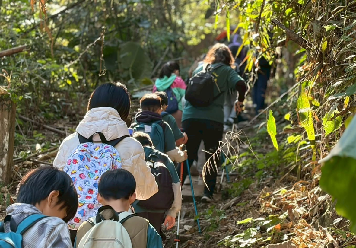圖片中南河國小師生手持登山杖、背著雙肩背包，正排成一列縱隊，沿著林蔭茂密、陽光斑駁的原始森林步道緩緩向山上健行，畫面呈現他們的背影。