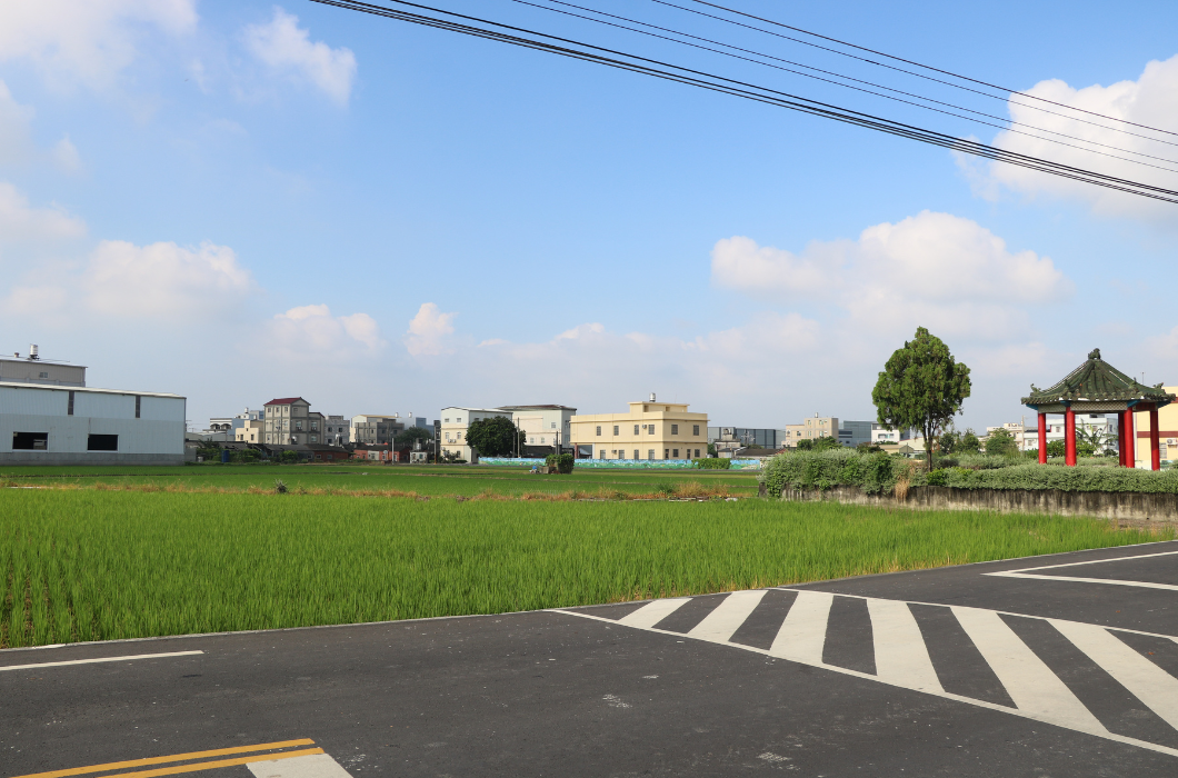 鄉村田園風光，道路旁為一片綠油油的稻田，遠處有住宅房舍與一座紅柱綠瓦的涼亭。