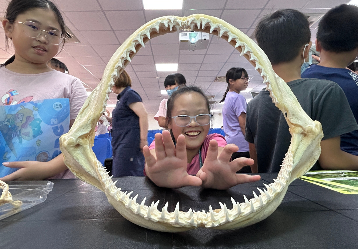 學童在室內教室參觀海洋生物展覽，一名戴眼鏡的女孩開心地透過大型鯊魚牙齒模型的口部框架擺姿勢拍照，展示對海洋生物的興趣與好奇心。