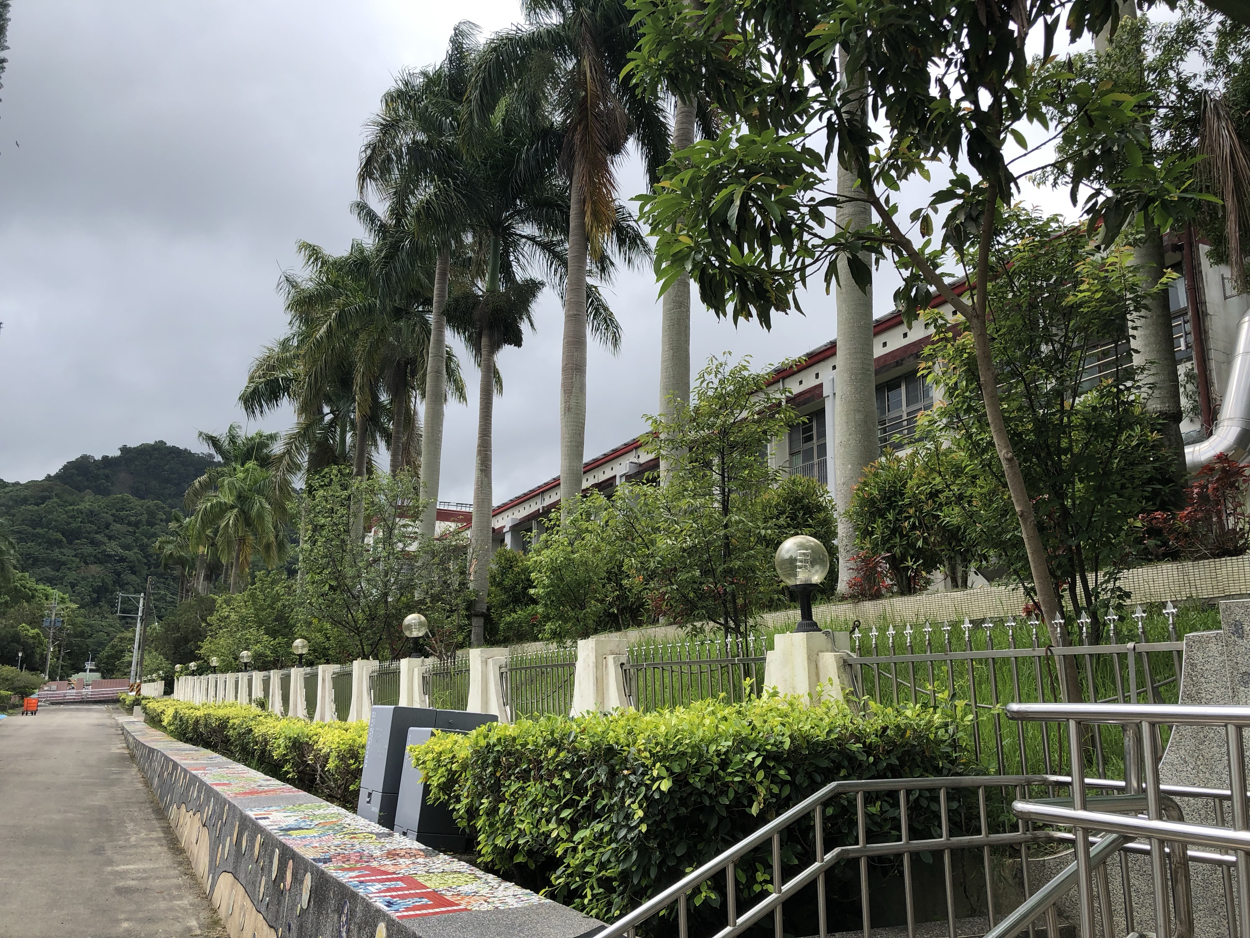 校園景觀步道，兩側排列高大的棕櫚樹，中央綠籬灌木修剪整齊，白色欄杆和路燈點綴其中。背景為紅白相間的校舍建築，遠方翠綠山丘，天空陰霾。整體環境清幽典雅。