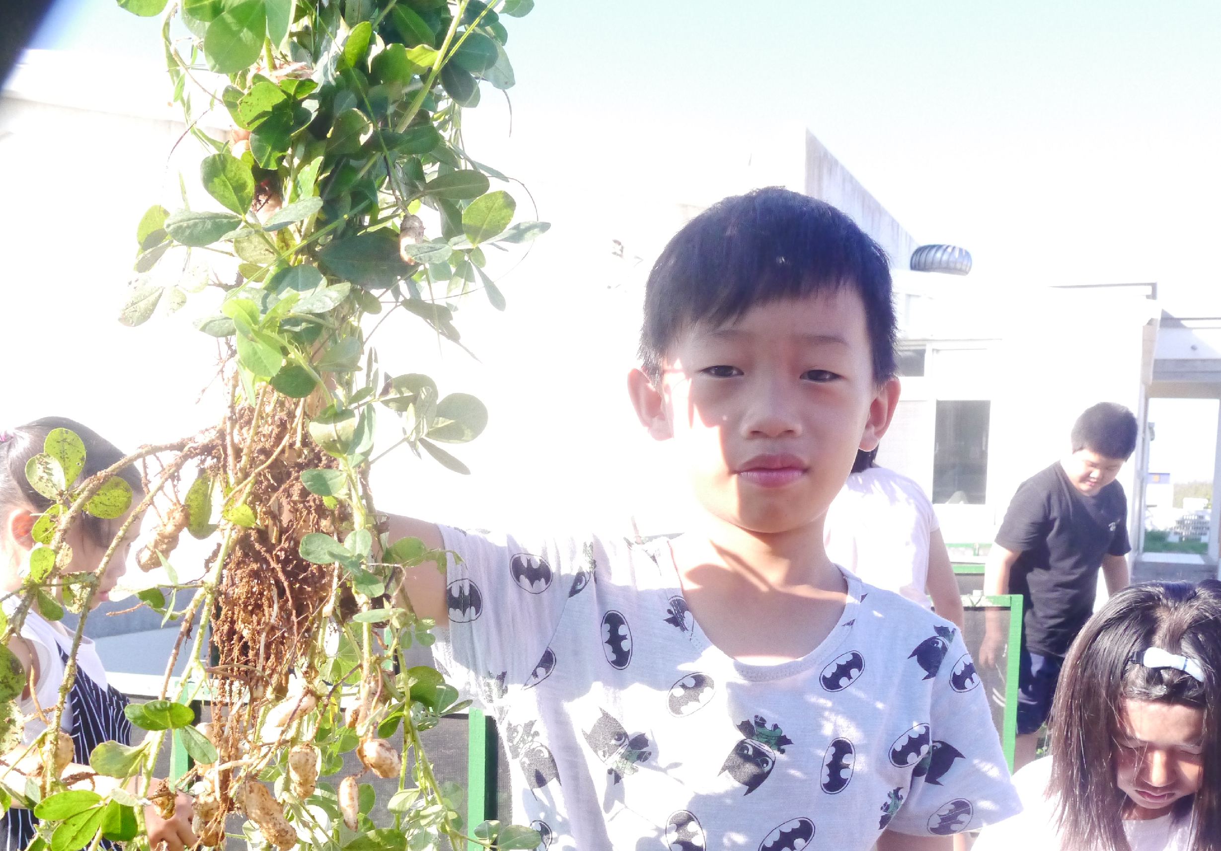 一名穿著白色蝙蝠俠圖案上衣的男童在戶外園藝區，用手觸摸一株生長茂盛的綠色植物。背景可見其他兒童和建築物，陽光充足，環境明亮。