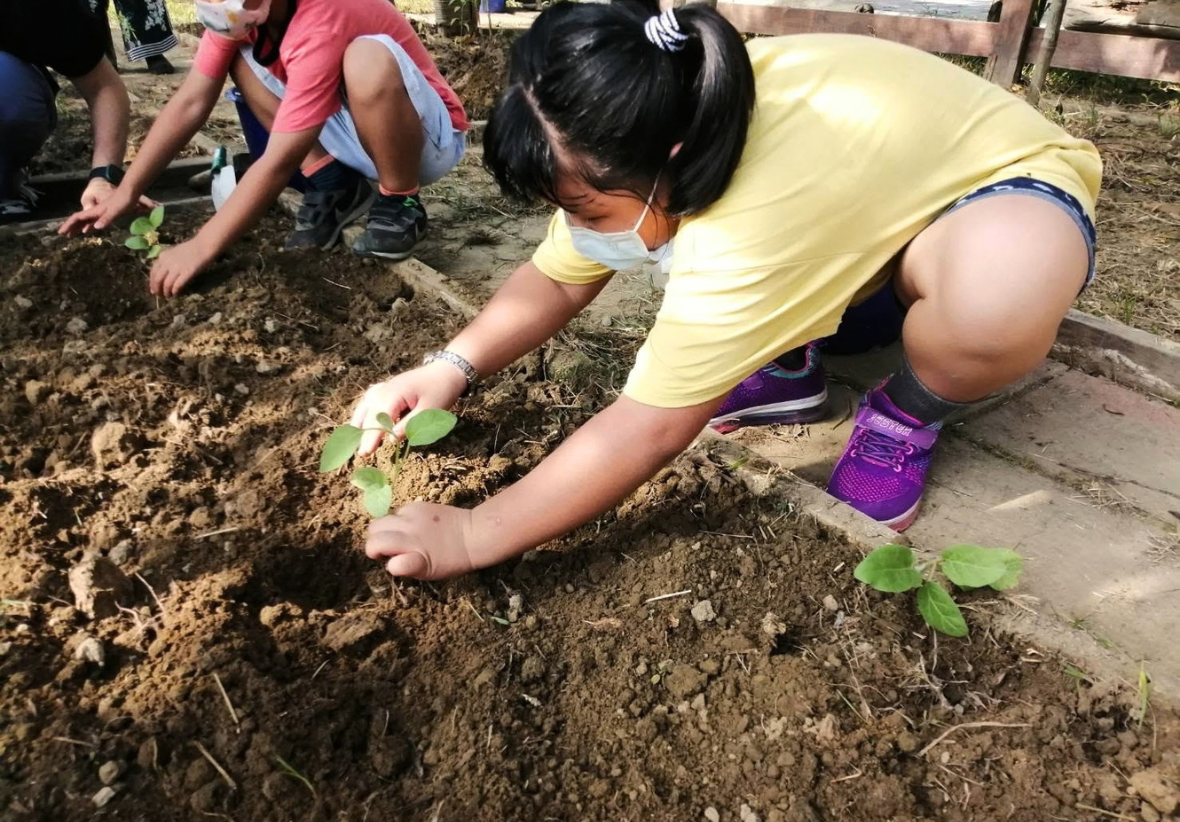 一位戴著口罩、穿黃色上衣的女同學正蹲在鬆軟的泥土前，雙手溫柔地將一株綠色蔬菜幼苗栽入土中。旁邊另一位同學也正細心協助，畫面展現出孩子親近土地、體驗生命教育的認真神情。