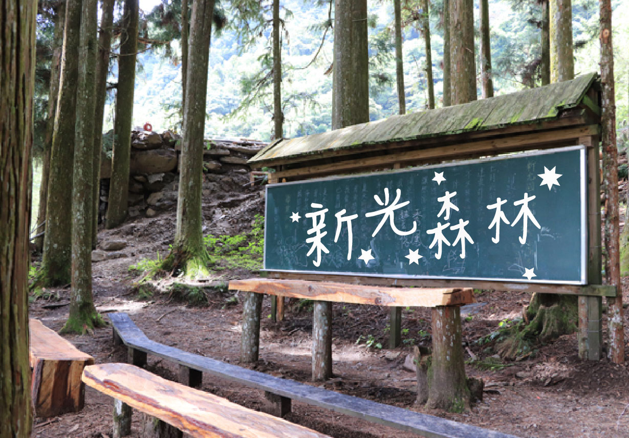 森林景觀中，一塊深藍色木製牌子掛在木製支架上，牌面以白色繁體字書寫「薪光森林」，周圍裝飾著星星圖案。背景為高大的杉木林木，地上鋪著木製步道。