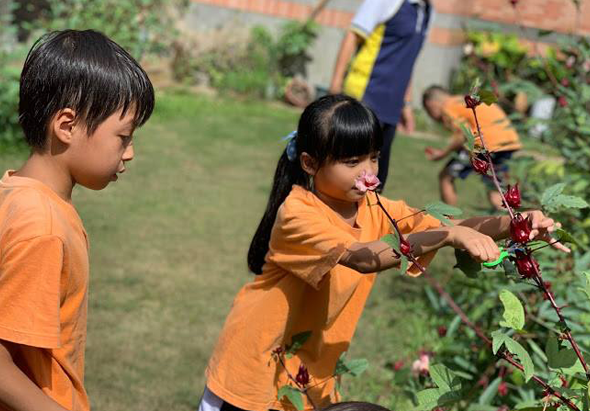 兩名穿著橙色T恤的小學生在戶外花園中採集紅色花朵，背景可見草坪、磚牆及其他學生。場景呈現兒童參與自然教育活動的情景。