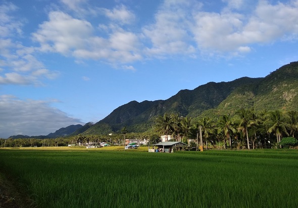 綠油油的稻田在前景展開，遠處是蒼翠的山脈。田邊有房屋和椰子樹點綴，藍天白雲映照寧靜的鄉村風景，呈現東南亞農業地帶的典型景貌。