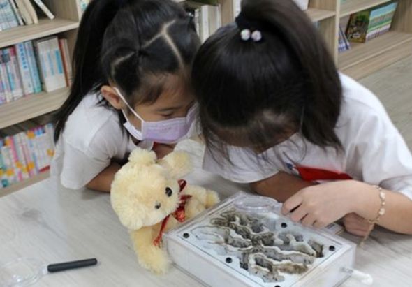 兩名戴著口罩的學生在圖書館內，俯身觀察放在桌上的標本盒，裡面放有貝殼標本。其中一人手持黃色毛絨玩具，另一人正認真查看標本。書架在背景中。