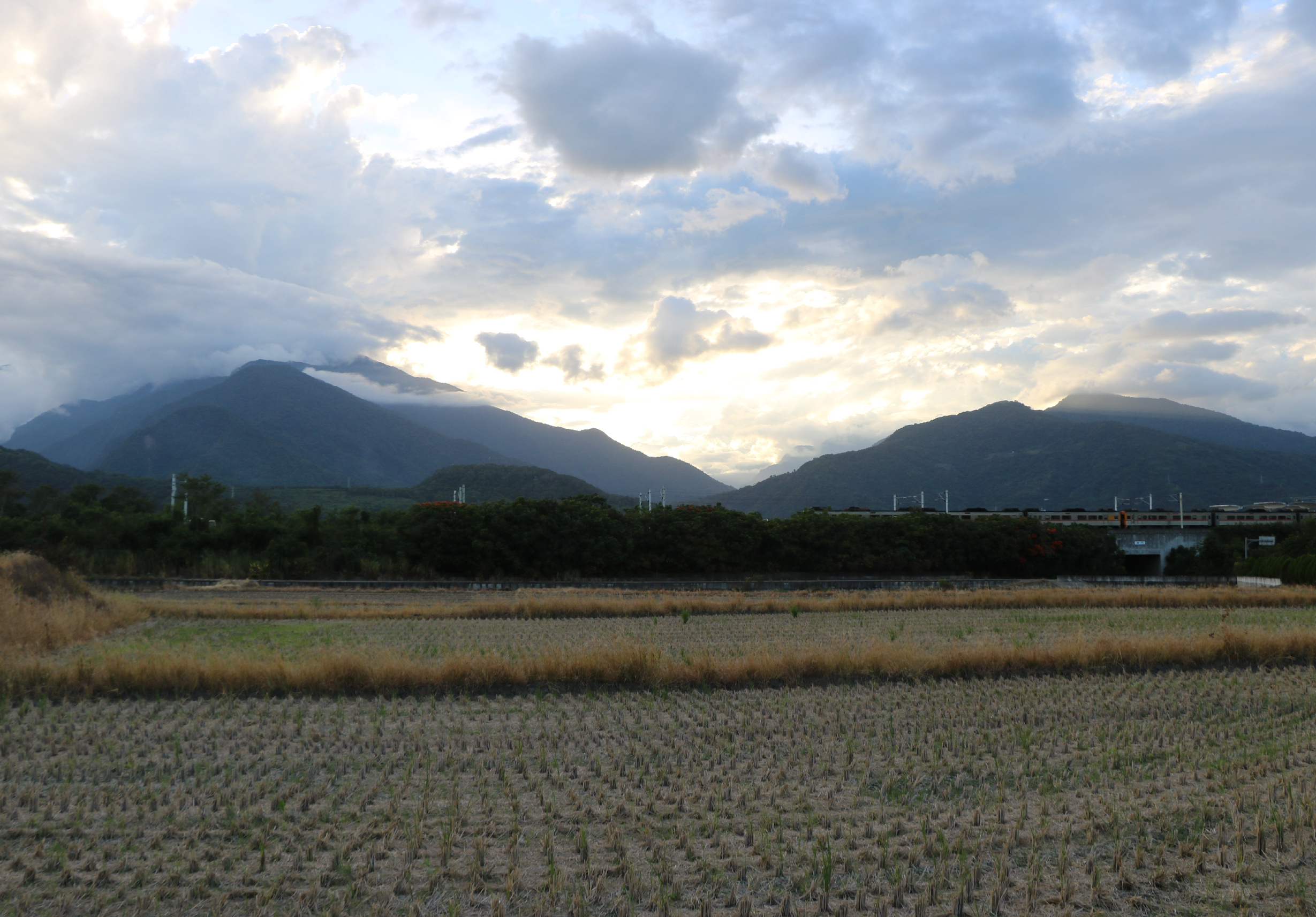 農業田地景觀，前景為剛種植的稻苗整齊排列，中景為樹林帶，背景為層疊的山脈。天空雲層豐富，陽光透過雲隙灑落。遠處可見工業設施和橋樑，呈現農業與工業並存的風景。