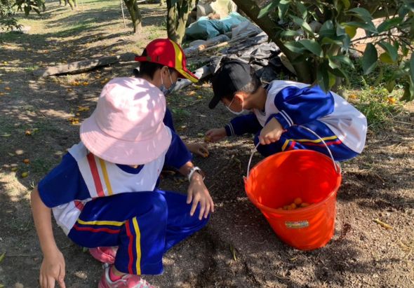 兩名穿著藍色制服、戴著安全帽的工作人員在戶外蹲下，在紅色水桶旁進行作業。背景可見樹木和其他工人，場景似乎是戶外勞動或環保活動。