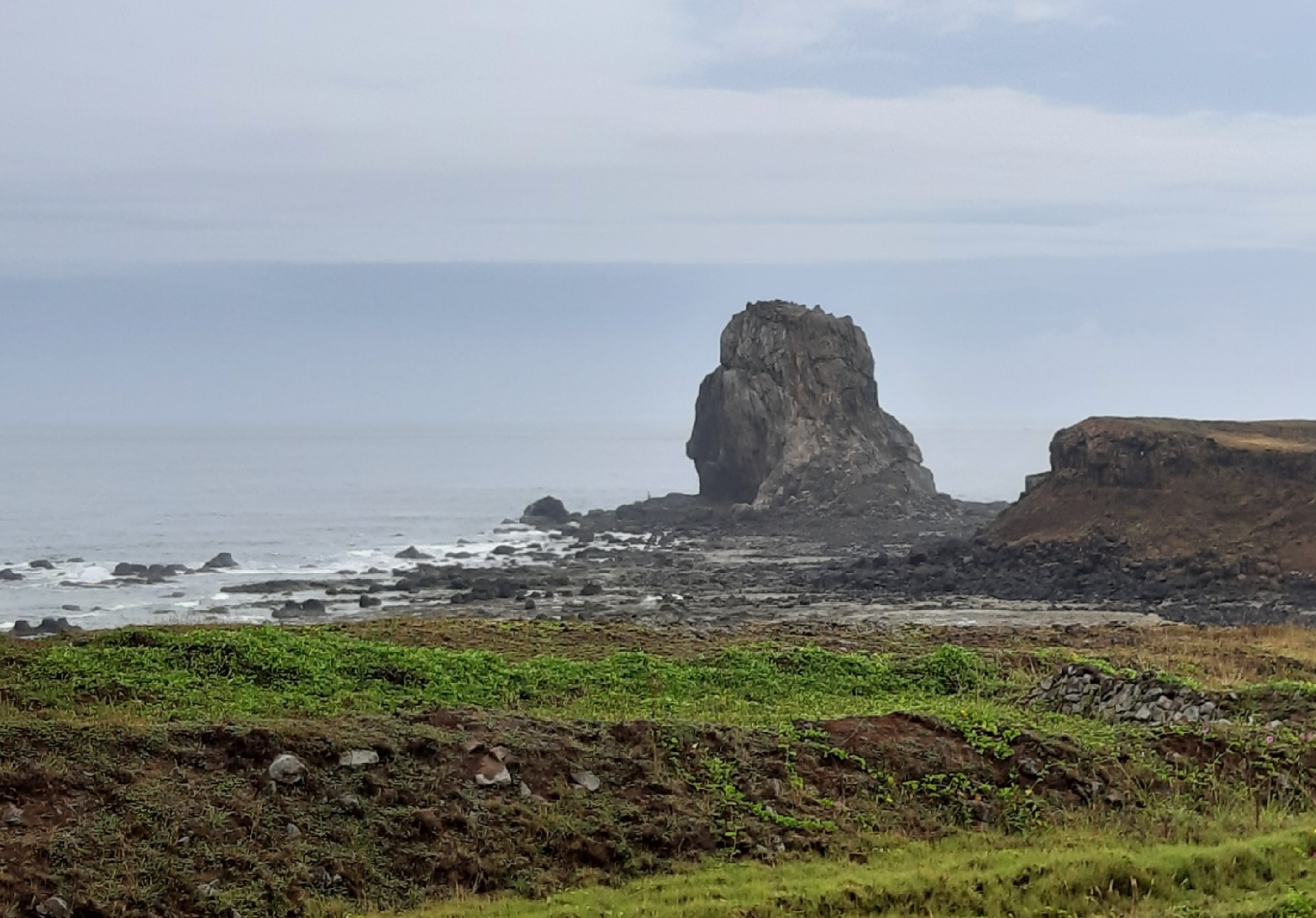海邊草地前景，遠處岩石海岸線上矗立著高聳的玄武岩柱狀岩塊，周圍散布礁石，海面波浪輕拍，灰藍色天空映襯著蒼涼的地質景觀。