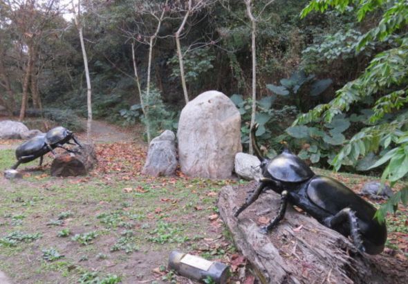 森林自然步道內，多隻黑色甲蟲模型擺放在地面和木樁上。背景有大石頭、落葉、樹木和茂密植被，模擬昆蟲在自然棲息地的場景展示。