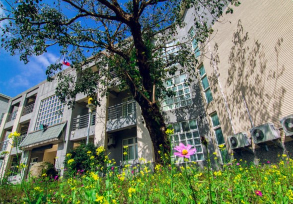 都市建築物前方盛開粉紅色和黃色鮮花，高大的樹木投射影子在米白色牆面上，藍天晴朗，展現城市綠化與現代建築的和諧共存景象。